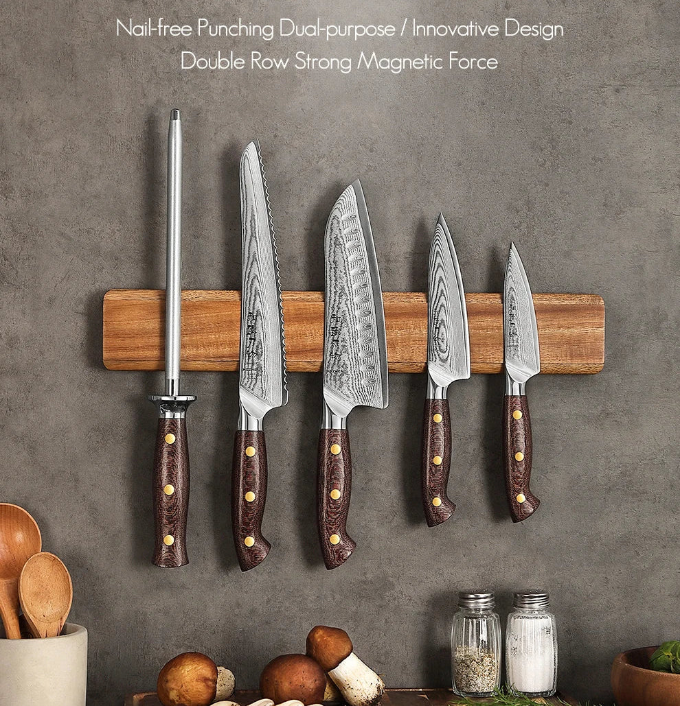 Shinrai Magnetic Rail